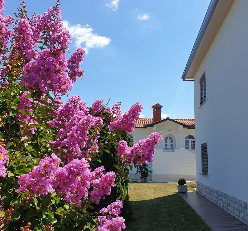 Holiday Apartment Villa Bianca Pazin Eksteriør billede