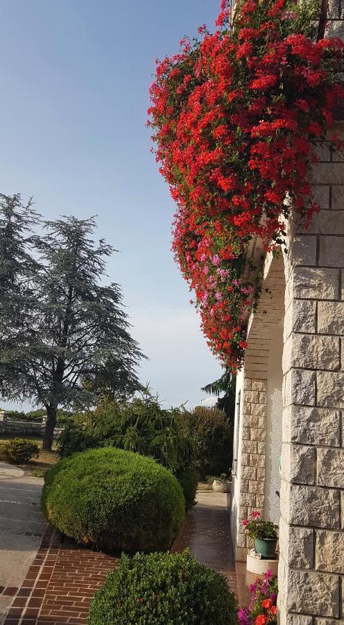 Holiday Apartment Villa Bianca Pazin Eksteriør billede